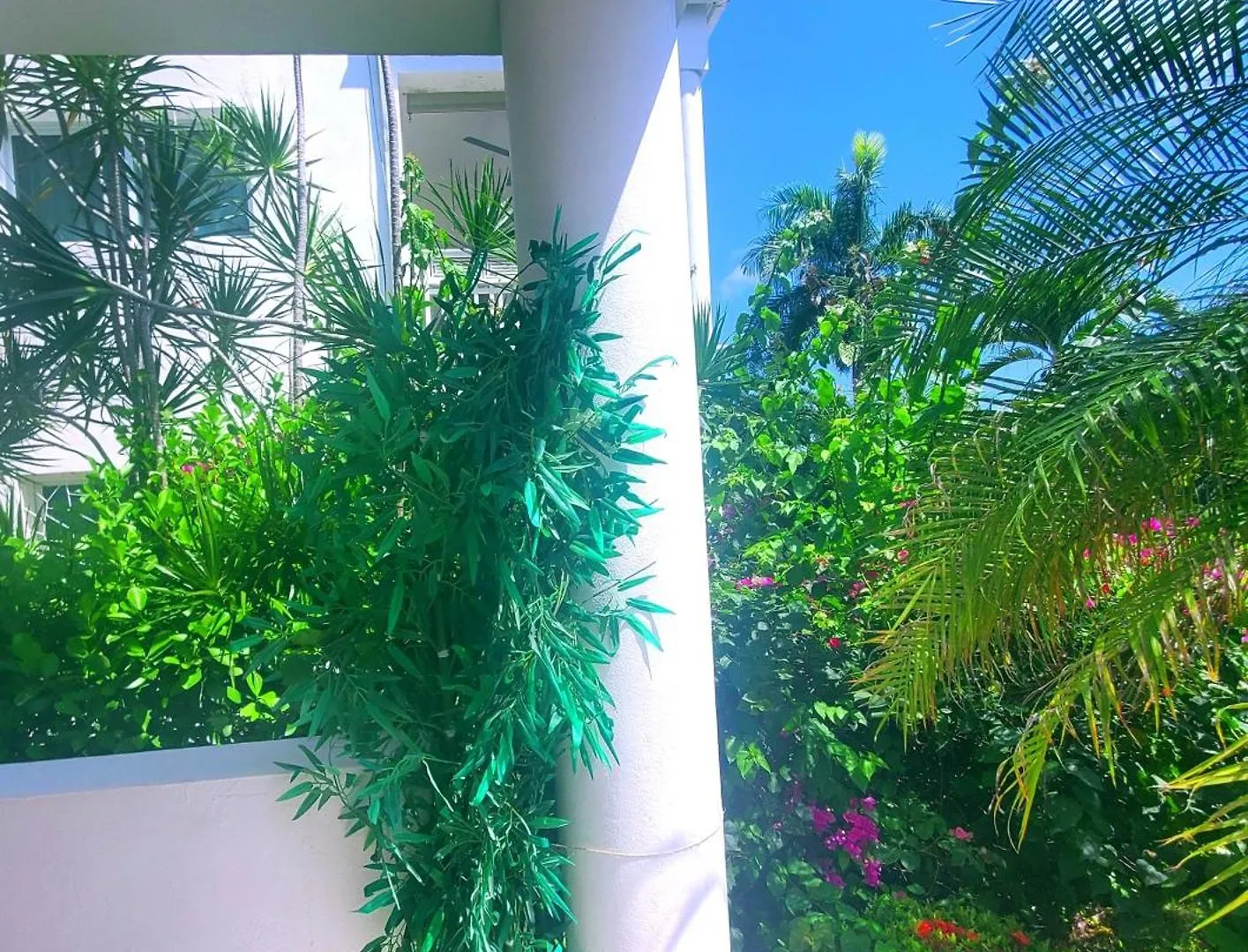 La Fenice Un Apartamento De Ensueno En Las Terrenas Playa Punta Popy 0*,