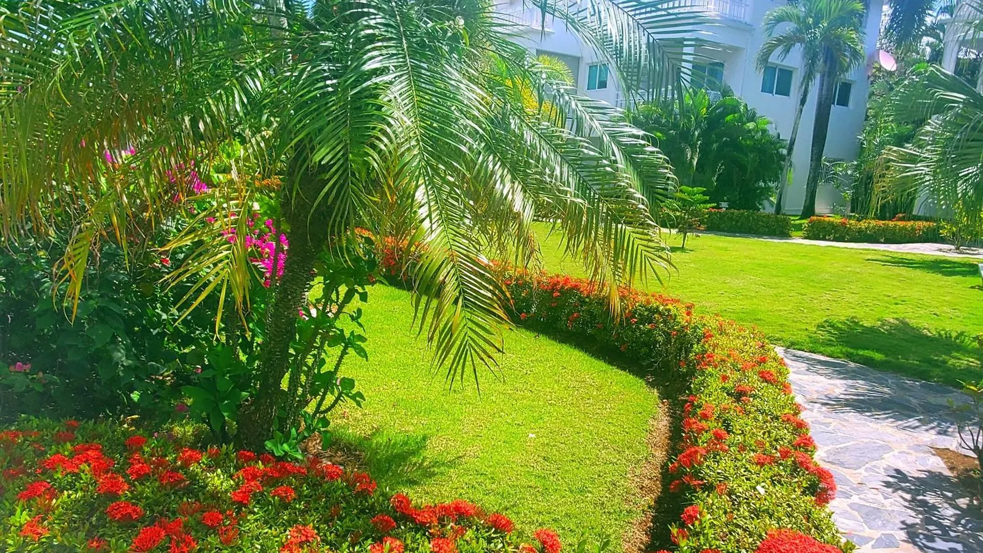 La Fenice Un Apartamento De Ensueno En Las Terrenas Playa Punta Popy 0*,  도미니카 공화국